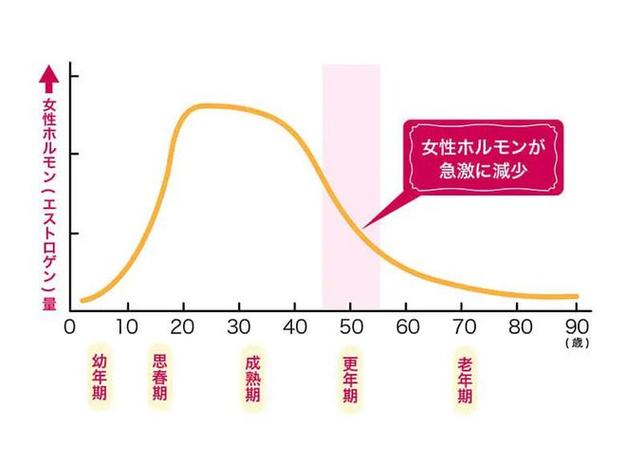 雌激素水平