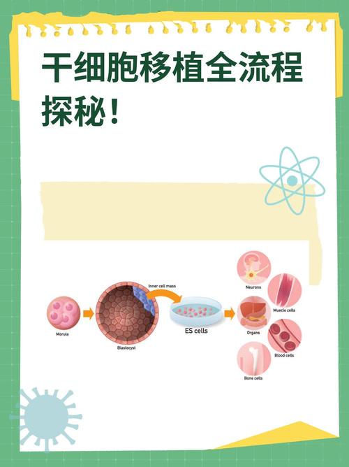 移植方法