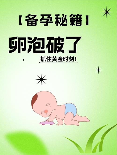 卵泡刺破