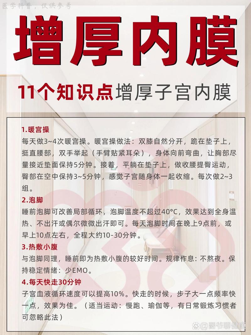  子宫内膜调理