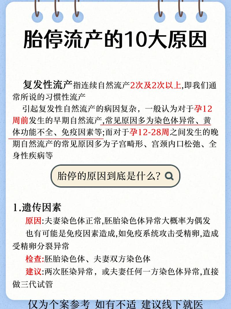  流产原因