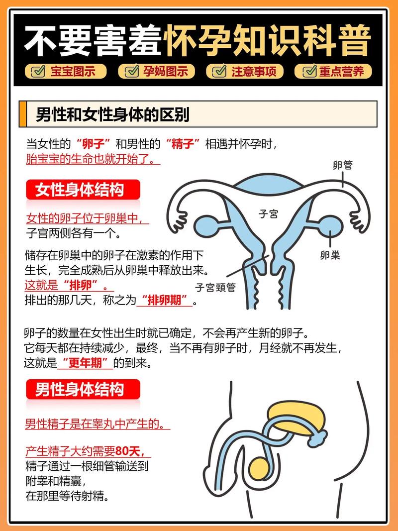 受孕原因