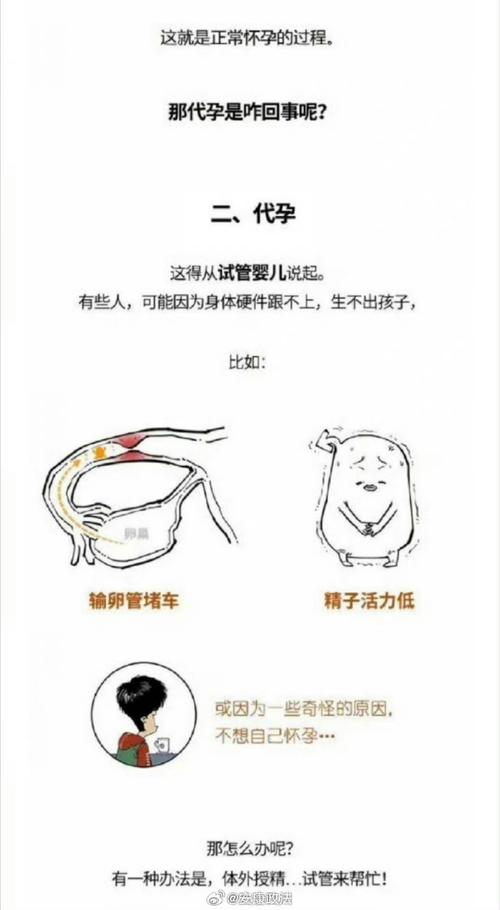 供卵者
