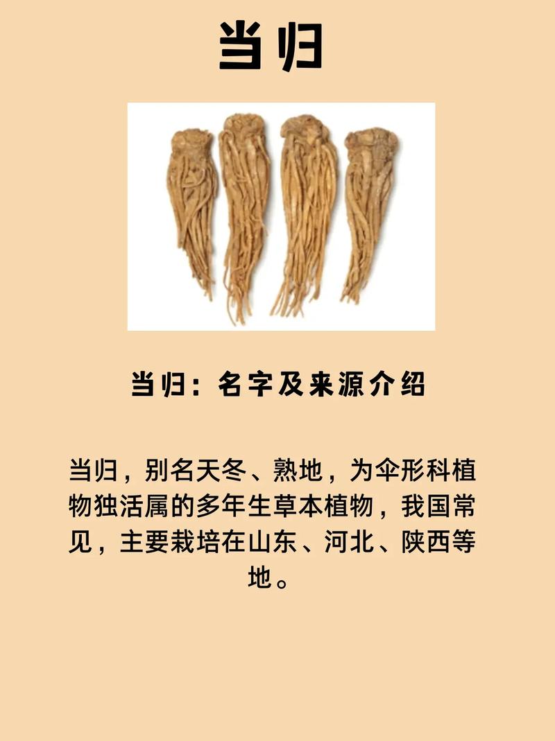  当归
