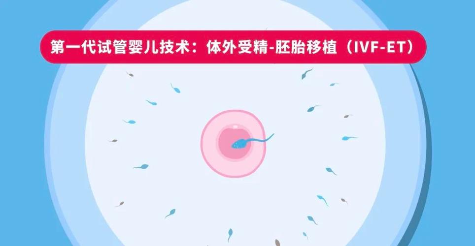 胚胎培养技术
