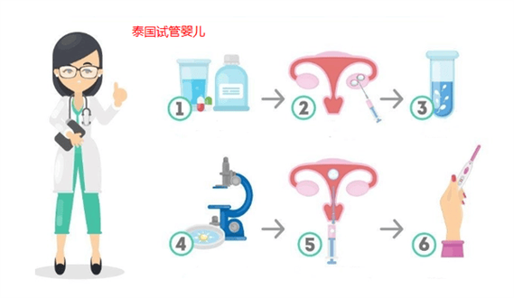 】：泰国试管婴儿，费用，试管婴儿费用，泰国试管婴儿费用
【描述】：本文详细介绍了泰国试管婴儿的全套费用，包括医疗费用、住宿费用、生活费用、交通费用等，并提供了相关统计数据，为有意向的患者提供了参考。