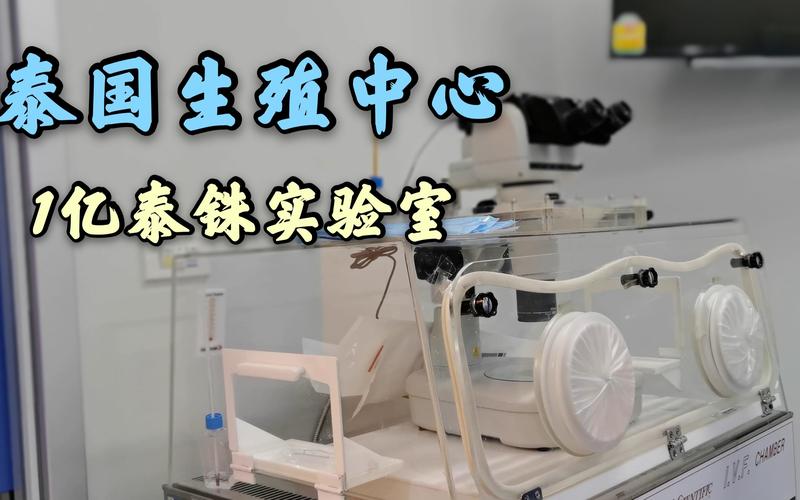 清迈试管婴儿中心