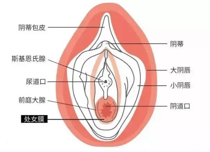  阴道流血