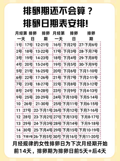 排卵日期安排