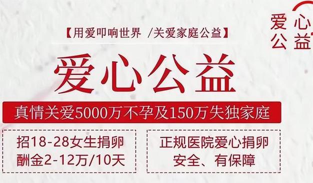  卵子捐赠