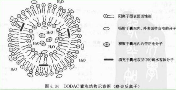 液囊形成