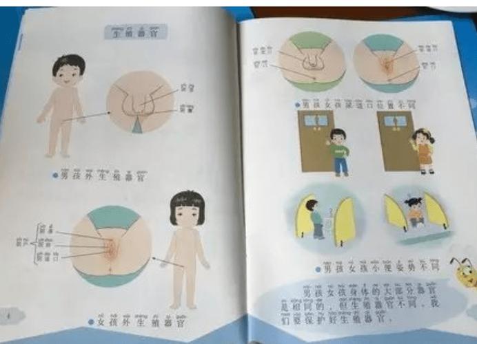 有性生殖