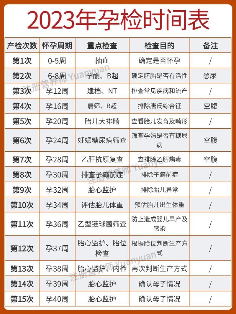  验孕时间