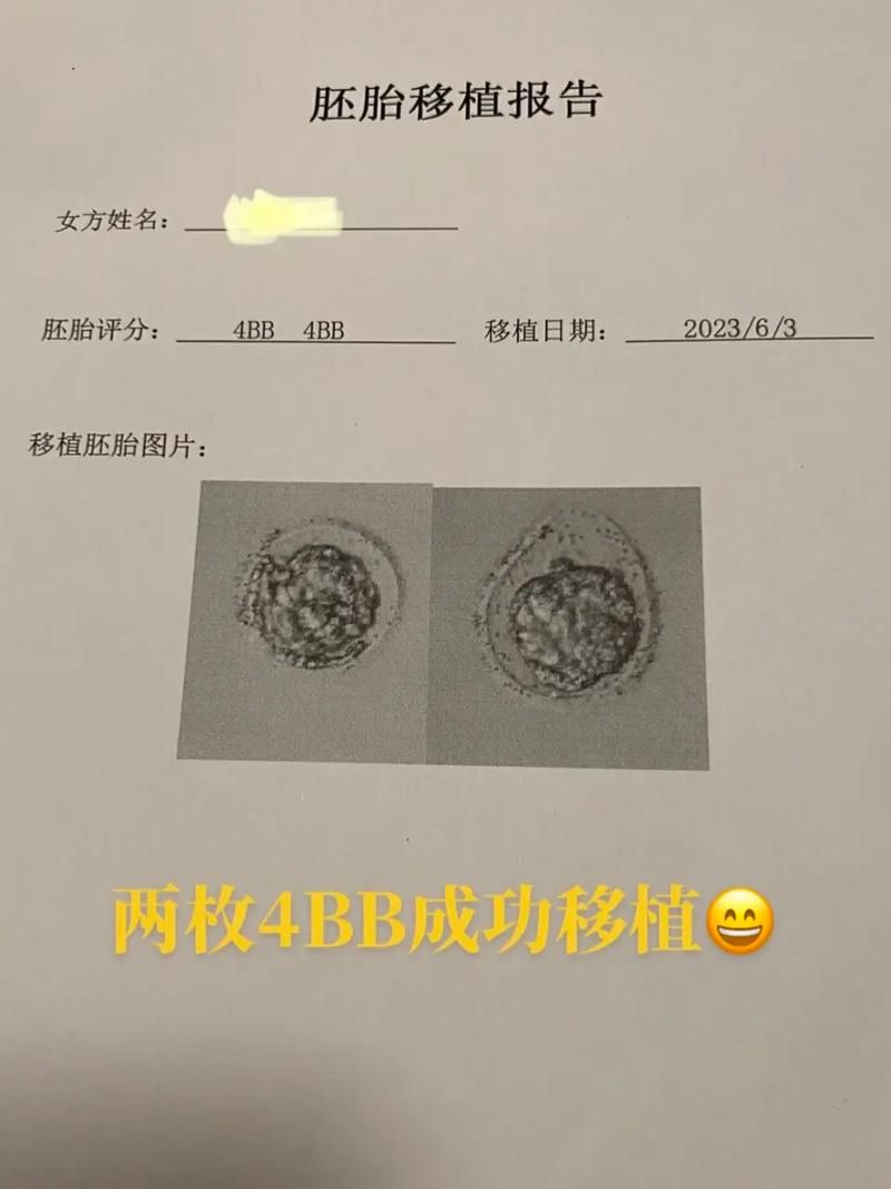  胚囊质量检测