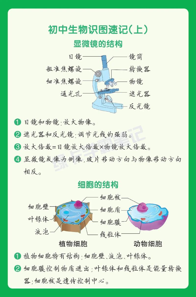  生物识别