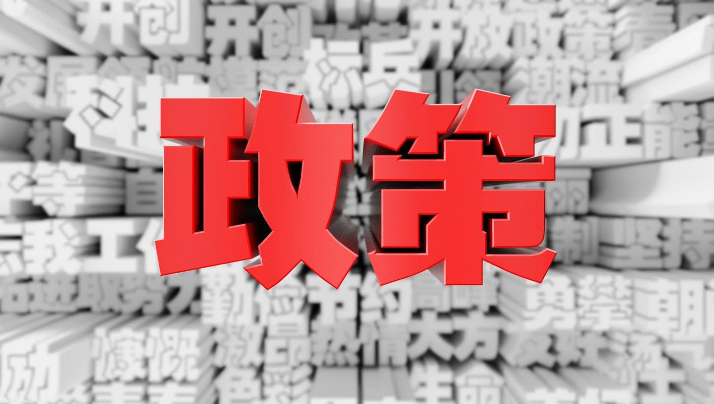 政策