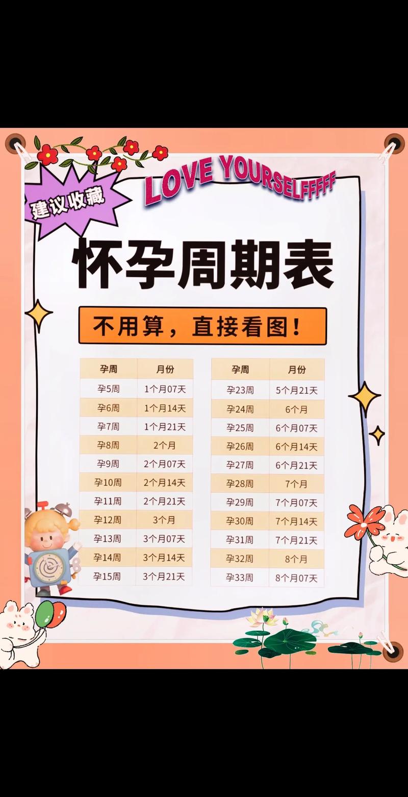 怀孕时间