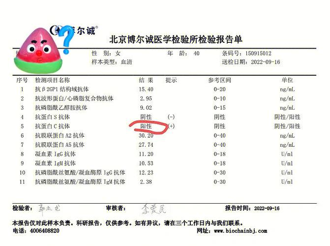 免疫检查