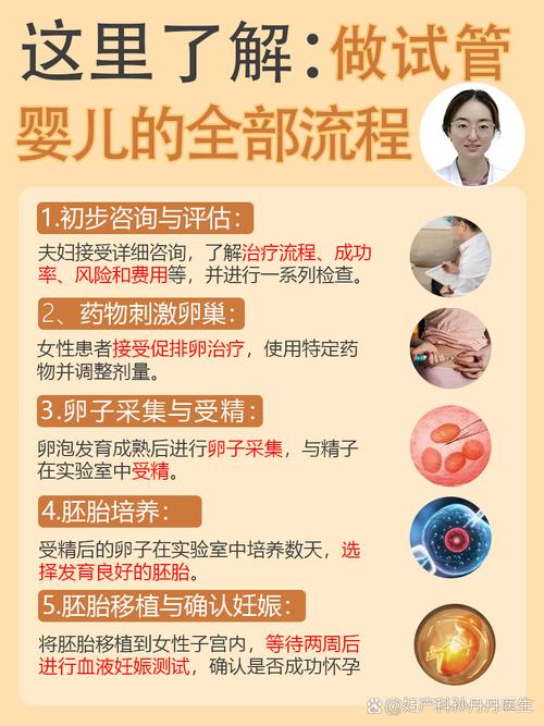 经验分享
描述: 本文详细记录了试管婴儿课程内容，从试管婴儿的基本概念、流程，到影响成功率的因素，还分享了成功夫妻的经验。旨在为有需求的人提供全面的试管婴儿知识，带来希望与指引 。