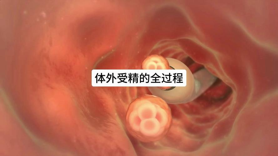 受精环境