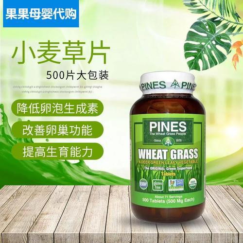 派恩斯小麦草