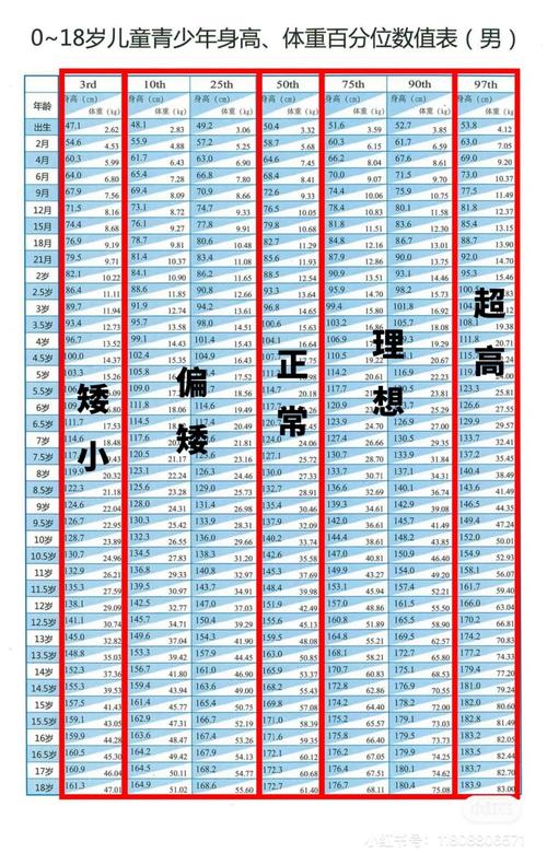 最佳发育年龄