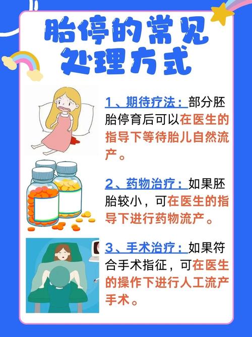 胚胎处置