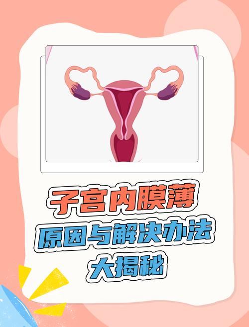 内膜变薄