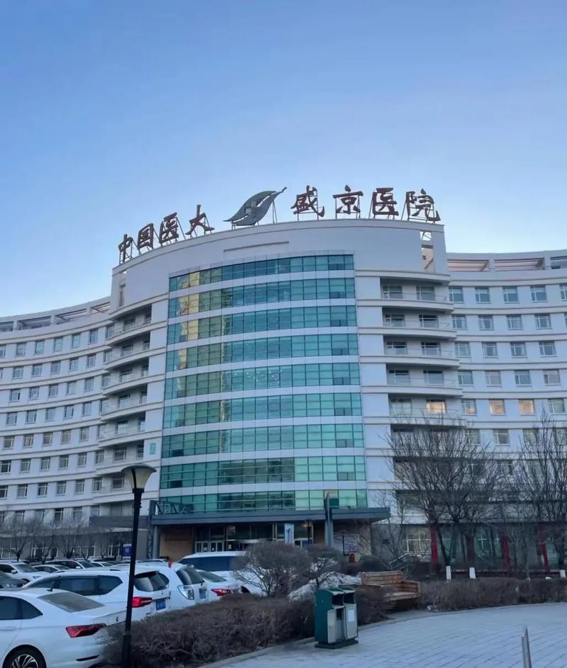 中国医科大学附属盛京医院