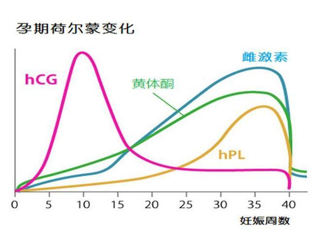 激素波动