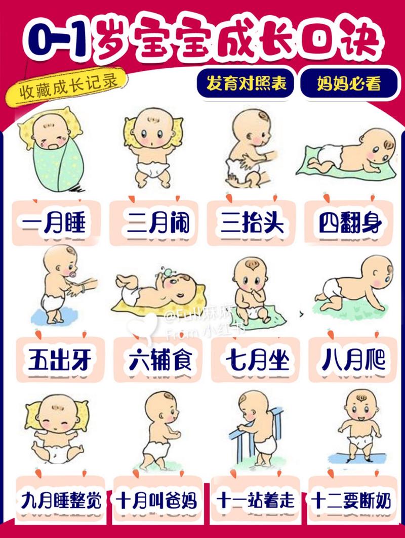 婴儿成长