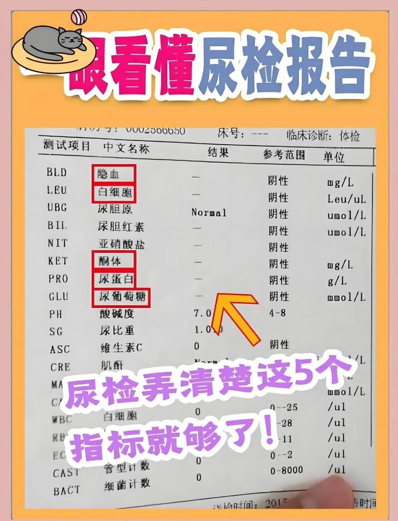  常规检查