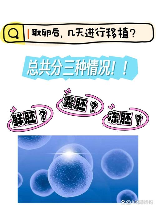 取卵次数