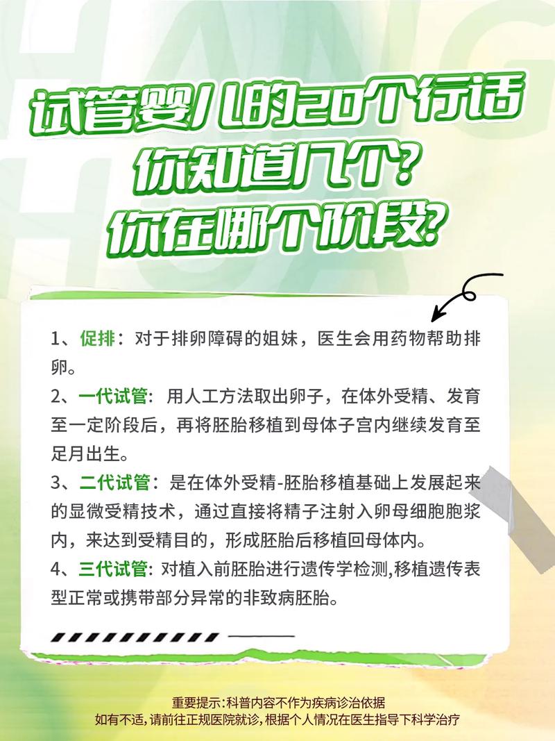  心理支持
【描述】：本文提供了一份详尽的指南，帮助试管婴儿胚胎遗失后的患者及时采取正确的措施，寻求专业的帮助。