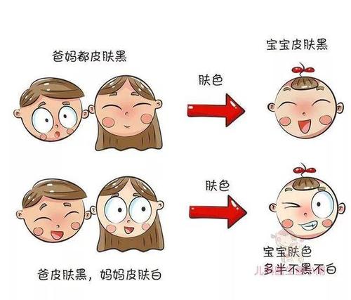  肤色遗传