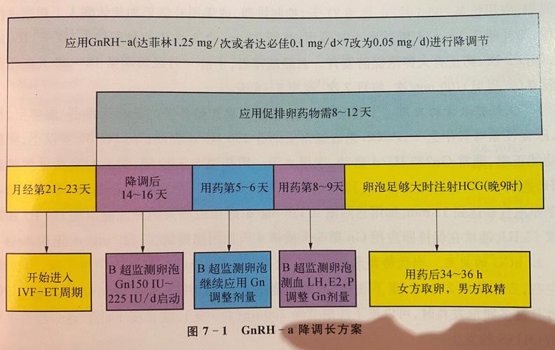 降调特长方案