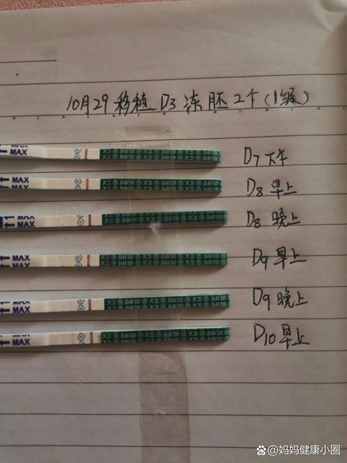 移植测试纸