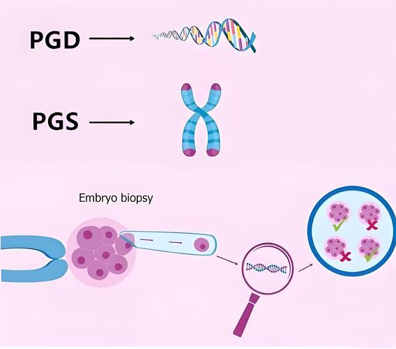  PGS/PGD技术