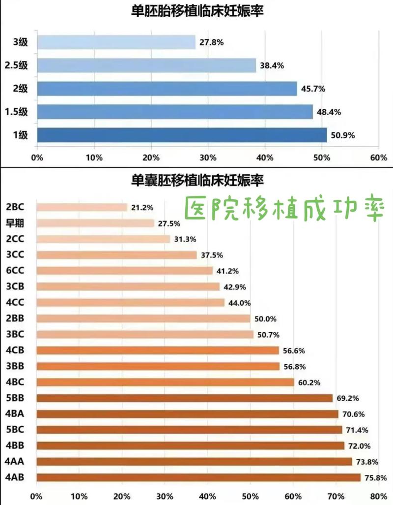 多胞胎成功率