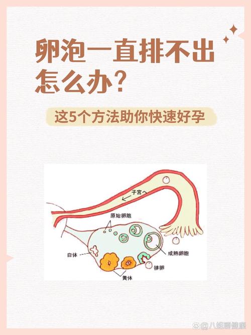 促排卵反应