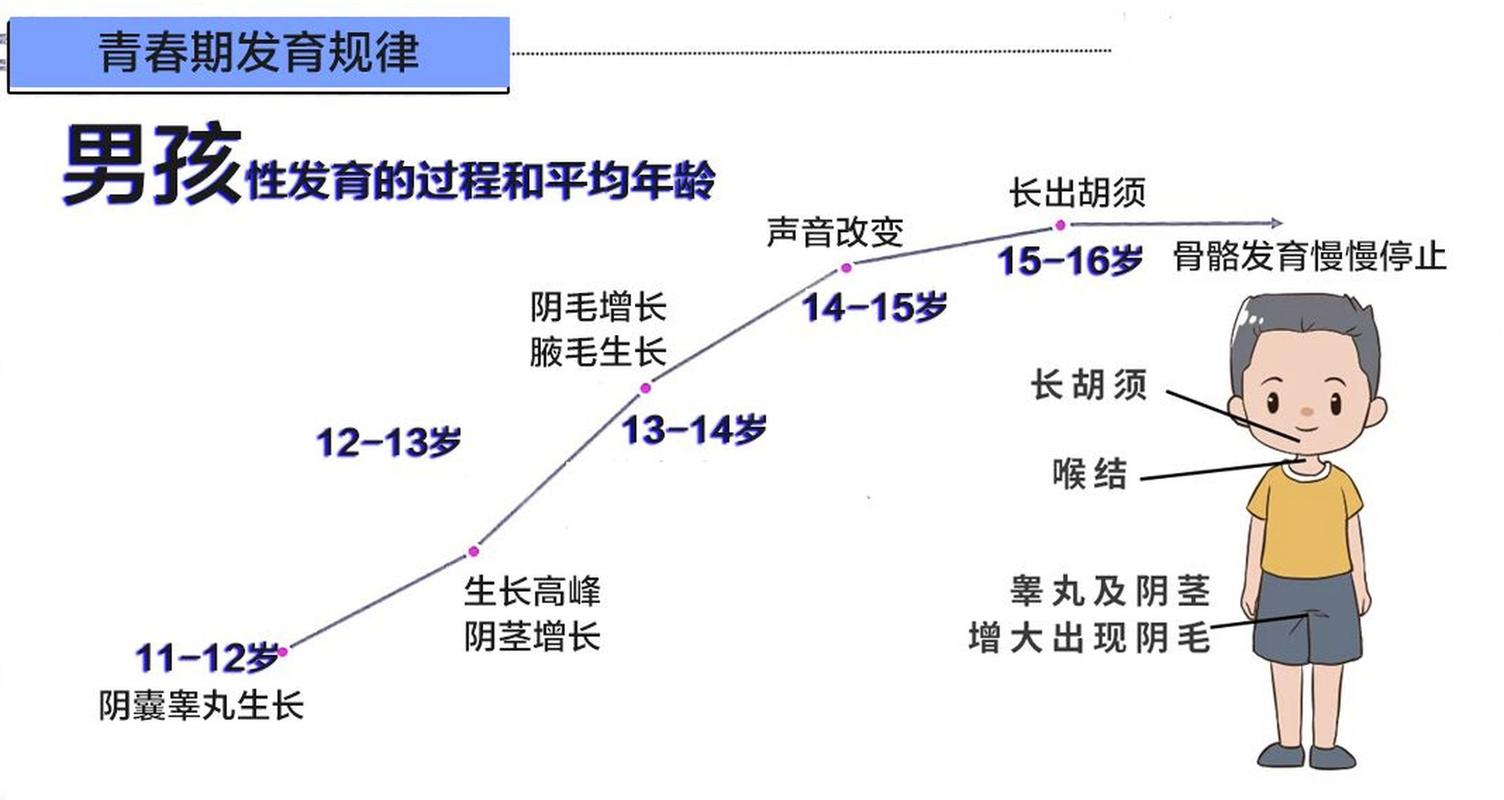  男孩发展