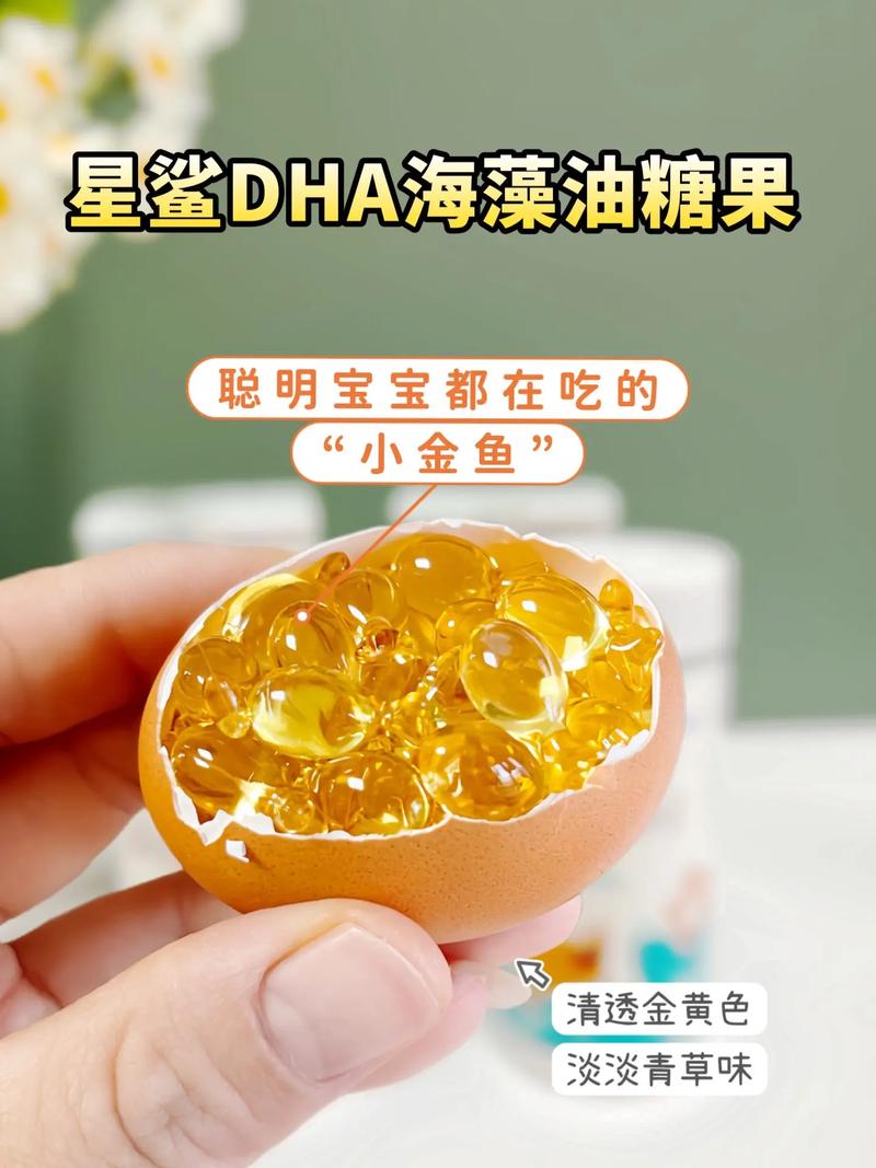  海藻油