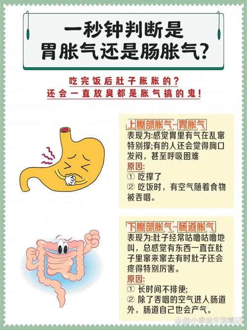胀气原因
