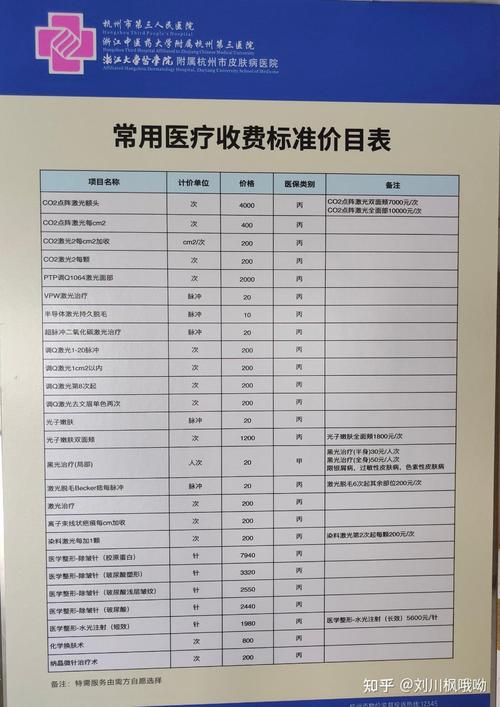 收费明细
