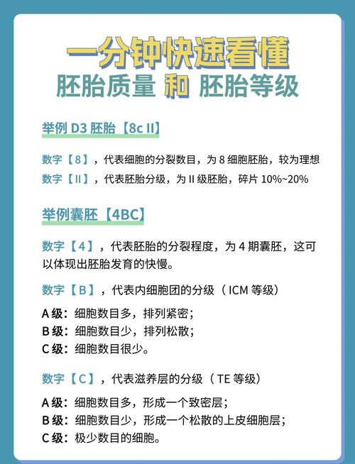 胚胎质量评估