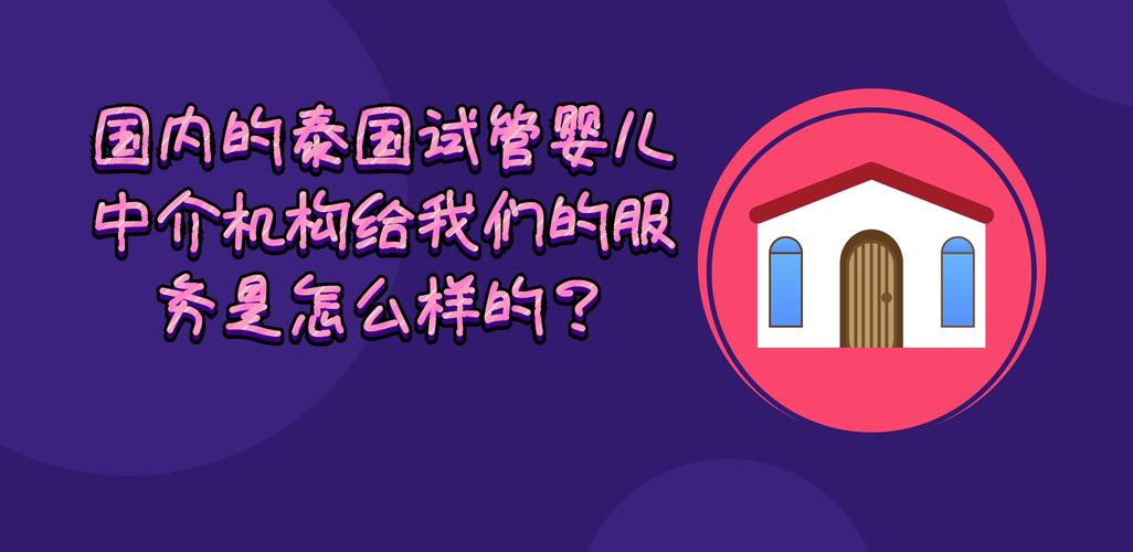 试管婴儿中介