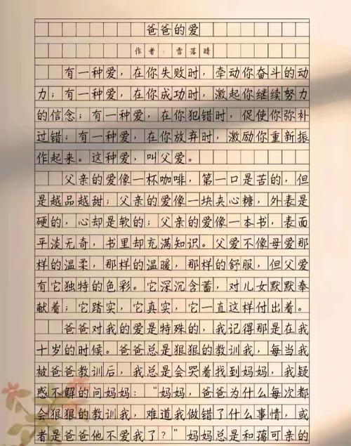 优质父亲