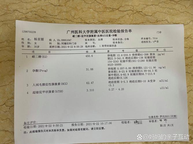  怀孕确认