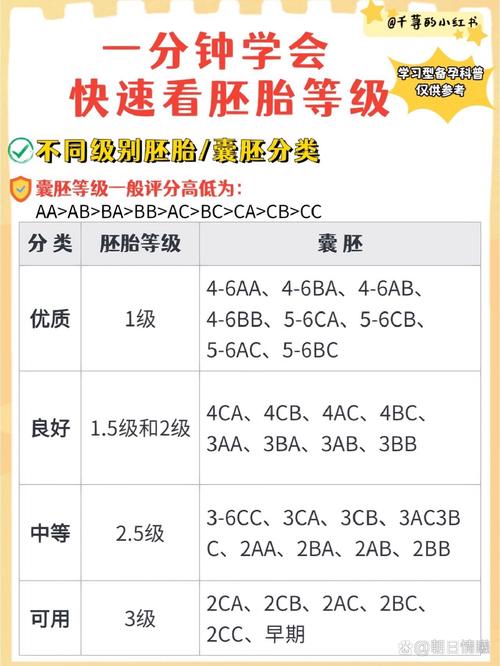 胚胎分级811