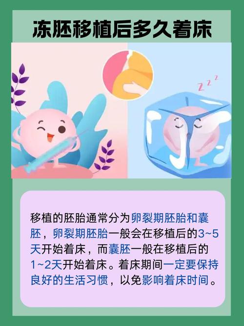 冻胚着床